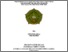 [thumbnail of Cover.pdf]