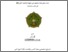 [thumbnail of Cover.pdf]