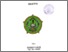 [thumbnail of Cover.pdf]